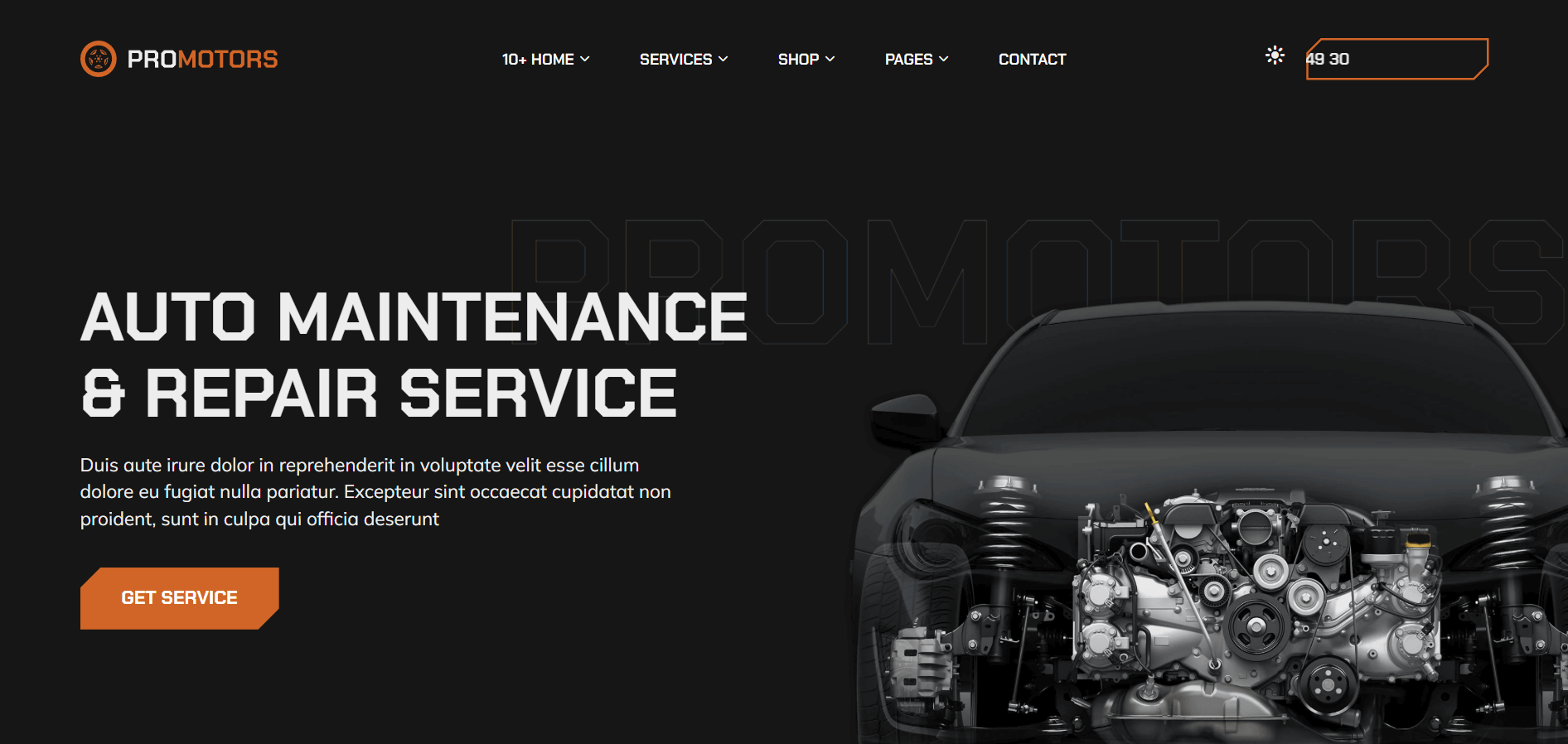 website-screenshot-1