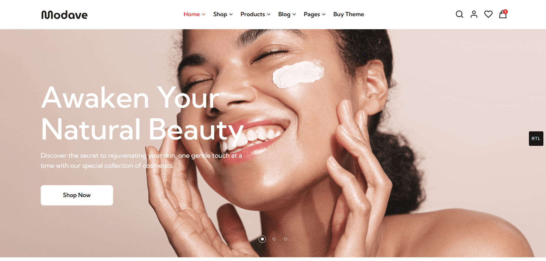 website-screenshot-2